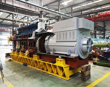 贵州省盘州红达瓦斯电站项目配4台milan米兰电子(中国)官方网站6极高压1550KW/10.5KV