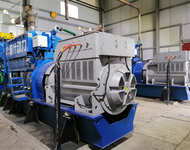 丰都甘泰沼气发电项目配milan米兰电子(中国)官方网站2台850KW/10.5KV6极高压发电机