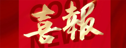 喜报速递 | milan米兰电子(中国)官方网站高海拔双轴发电机入选2025年“安徽工业精品”榜